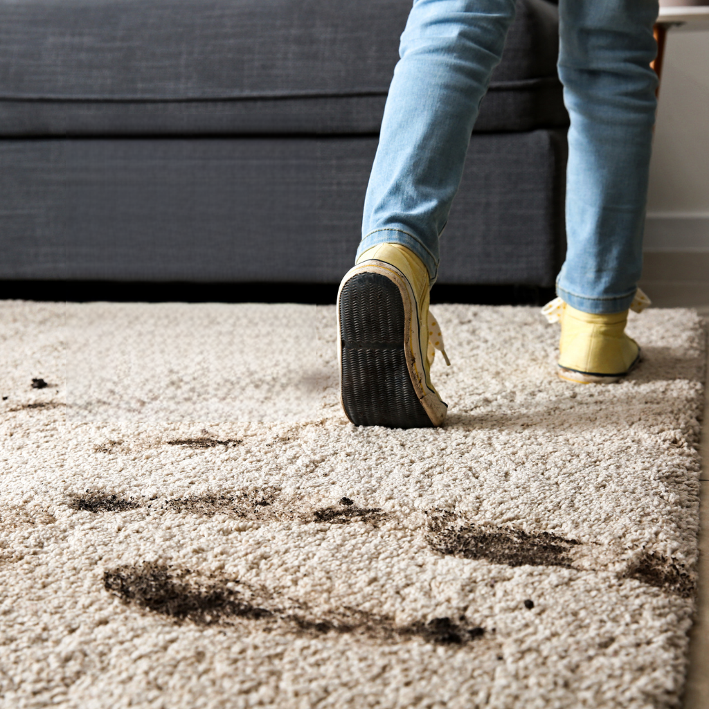 Rug Carpet Cleaner Refresher Brush for Home for Spills Stains
