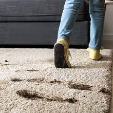 Rug Carpet Cleaner Refresher Brush for Home for Spills Stains