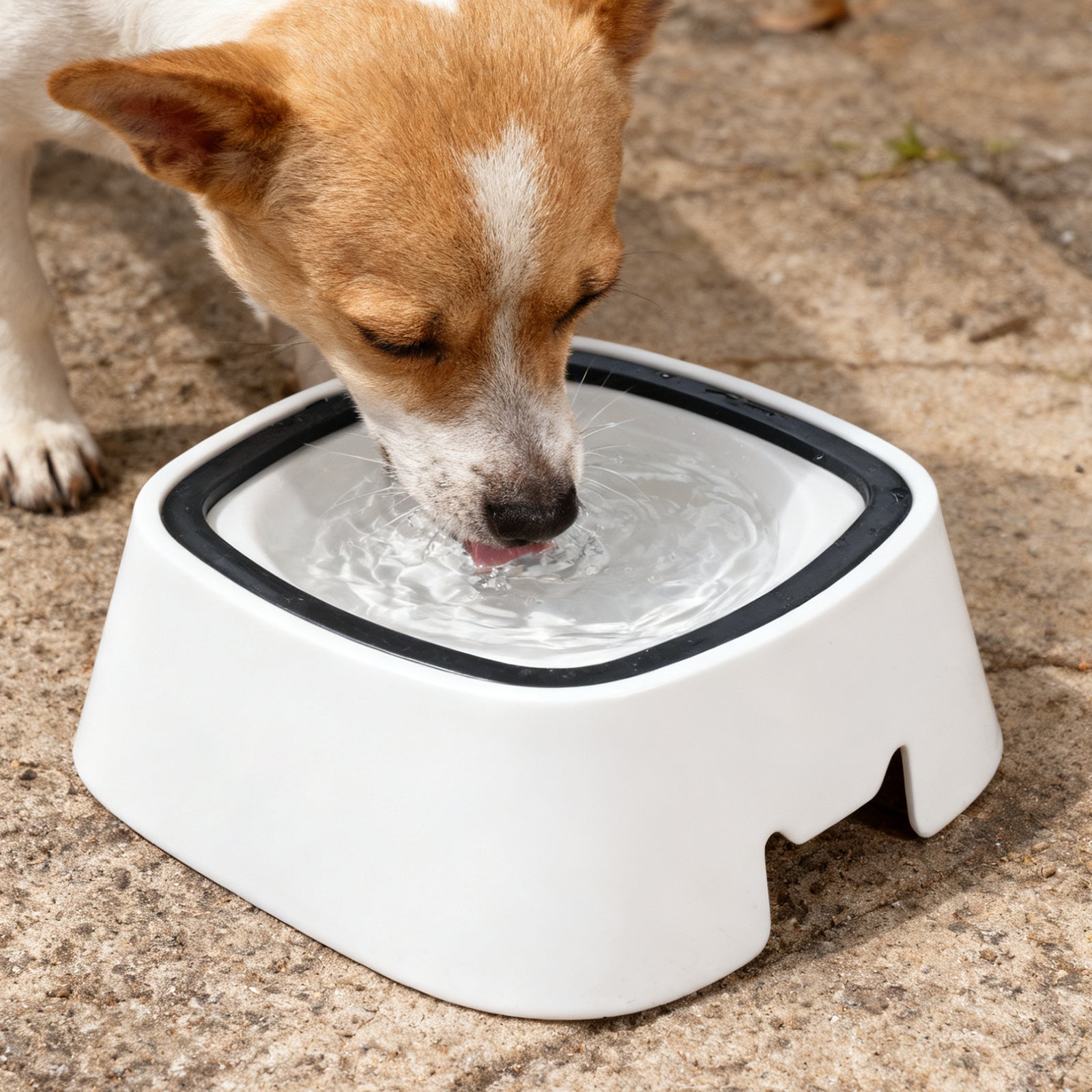 Magic Bowl,Dog&Cat Cat Water Dispenser