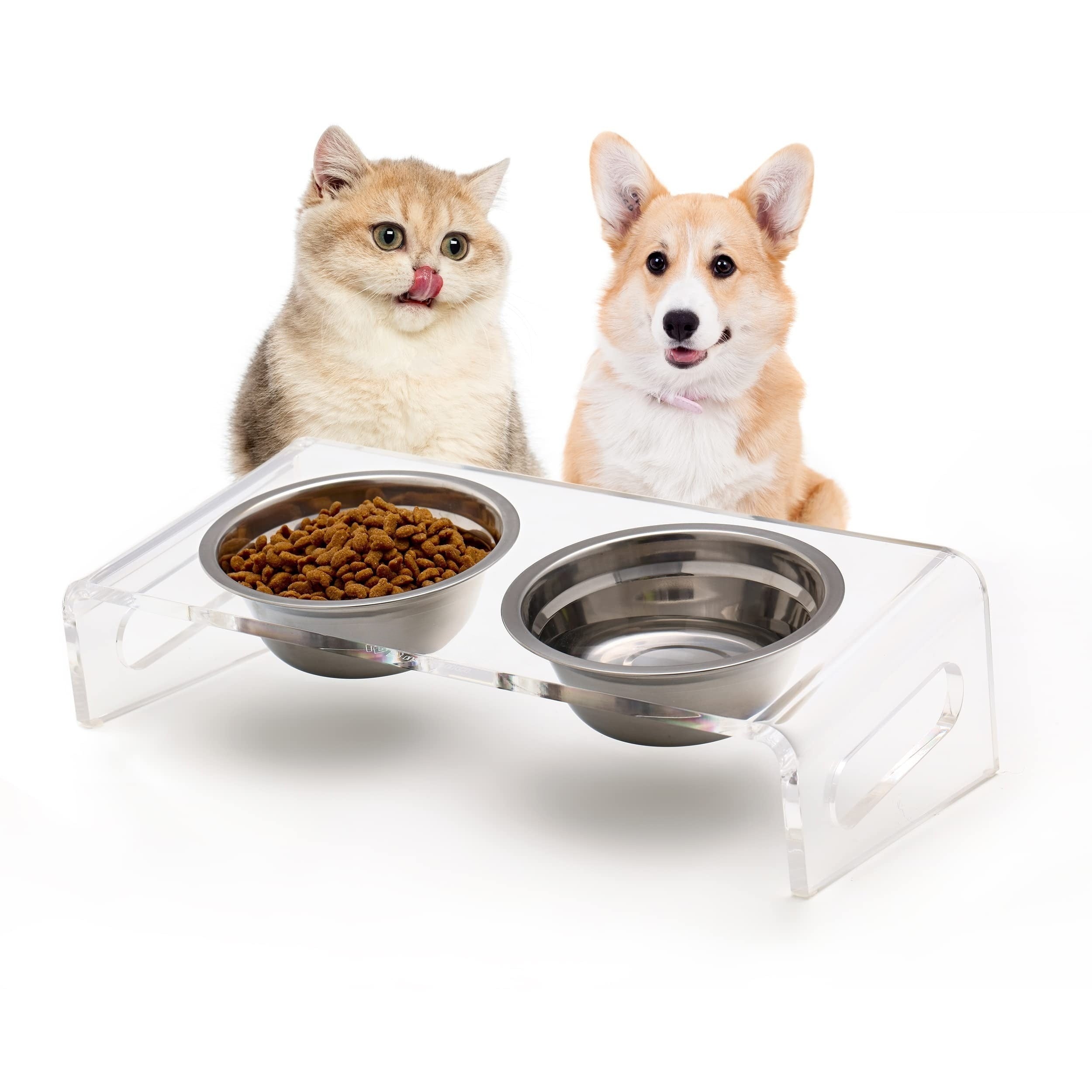Acrylic Tilted Raised Cat Bowls