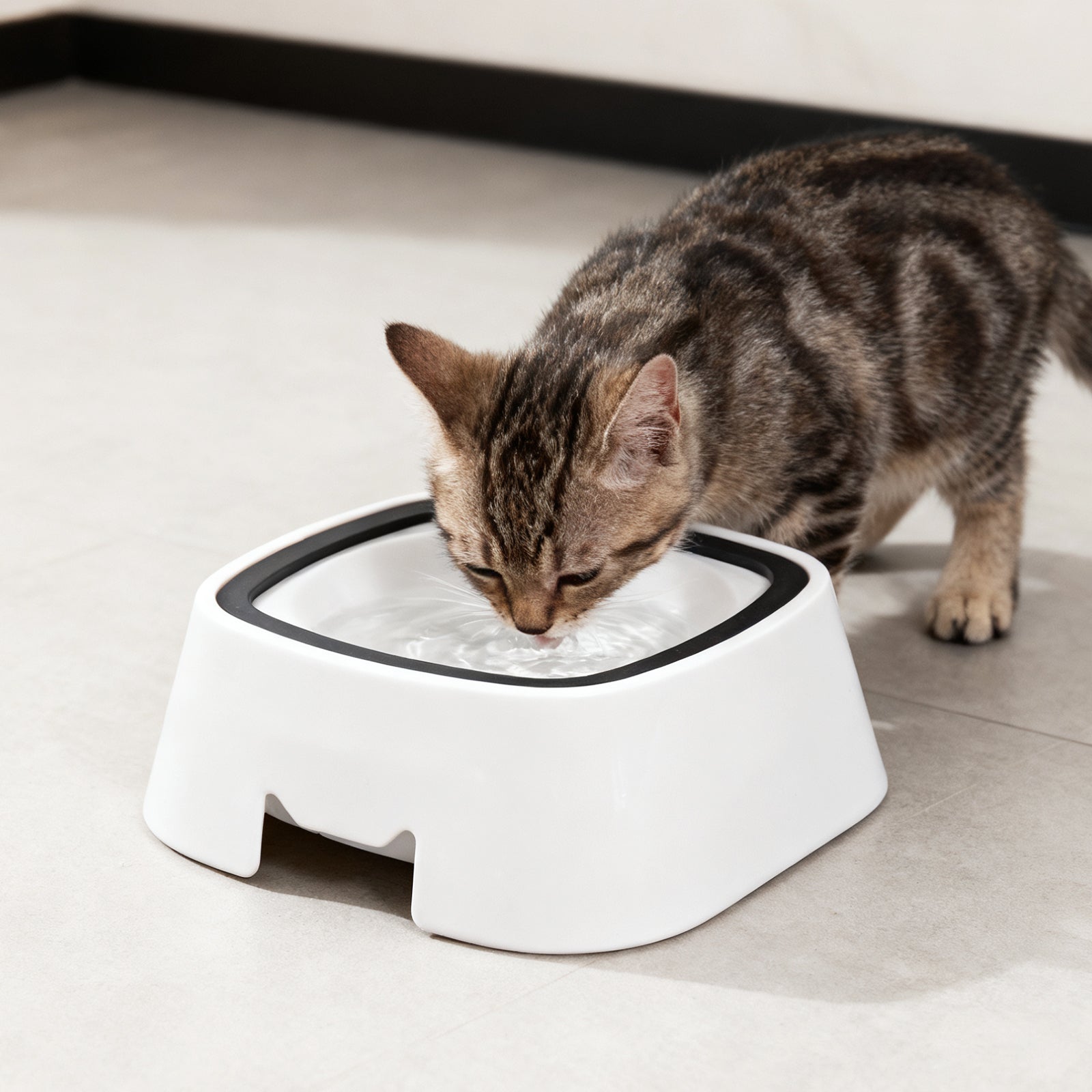 Magic Bowl,Dog&Cat Cat Water Dispenser