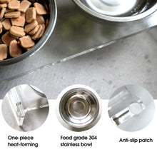 Acrylic Tilted Raised Cat Bowls