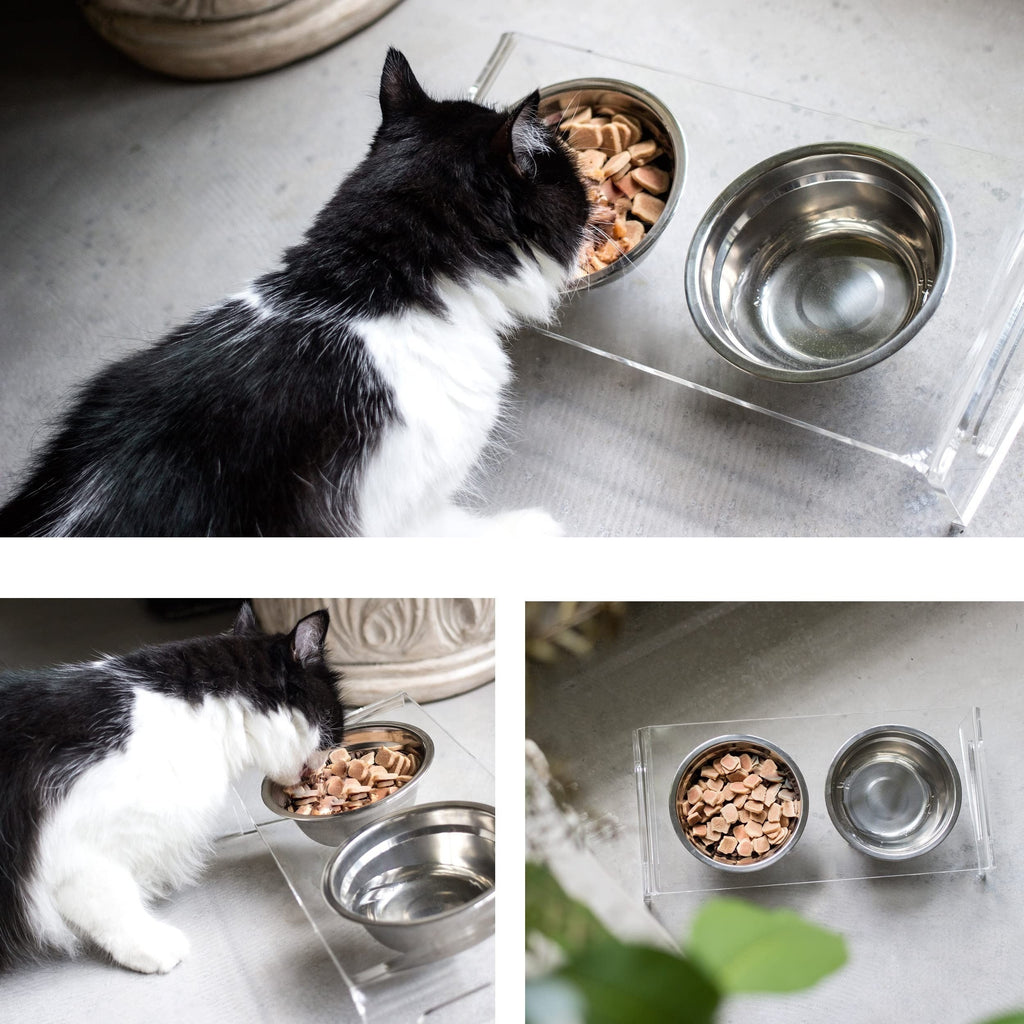 Acrylic Tilted Raised Cat Bowls