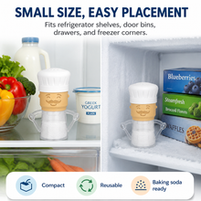 Chef Refrigerator Deodorizer