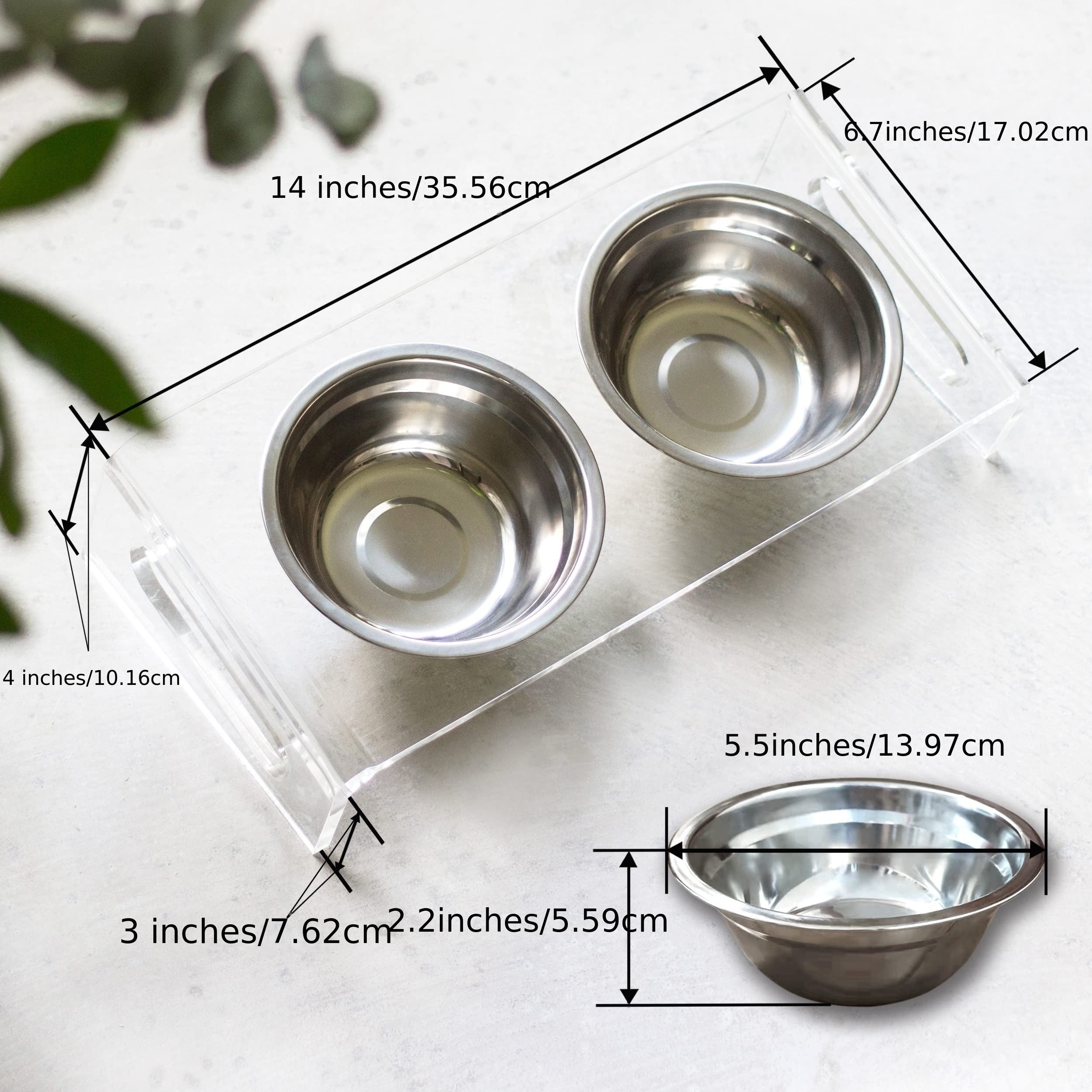 Acrylic Tilted Raised Cat Bowls