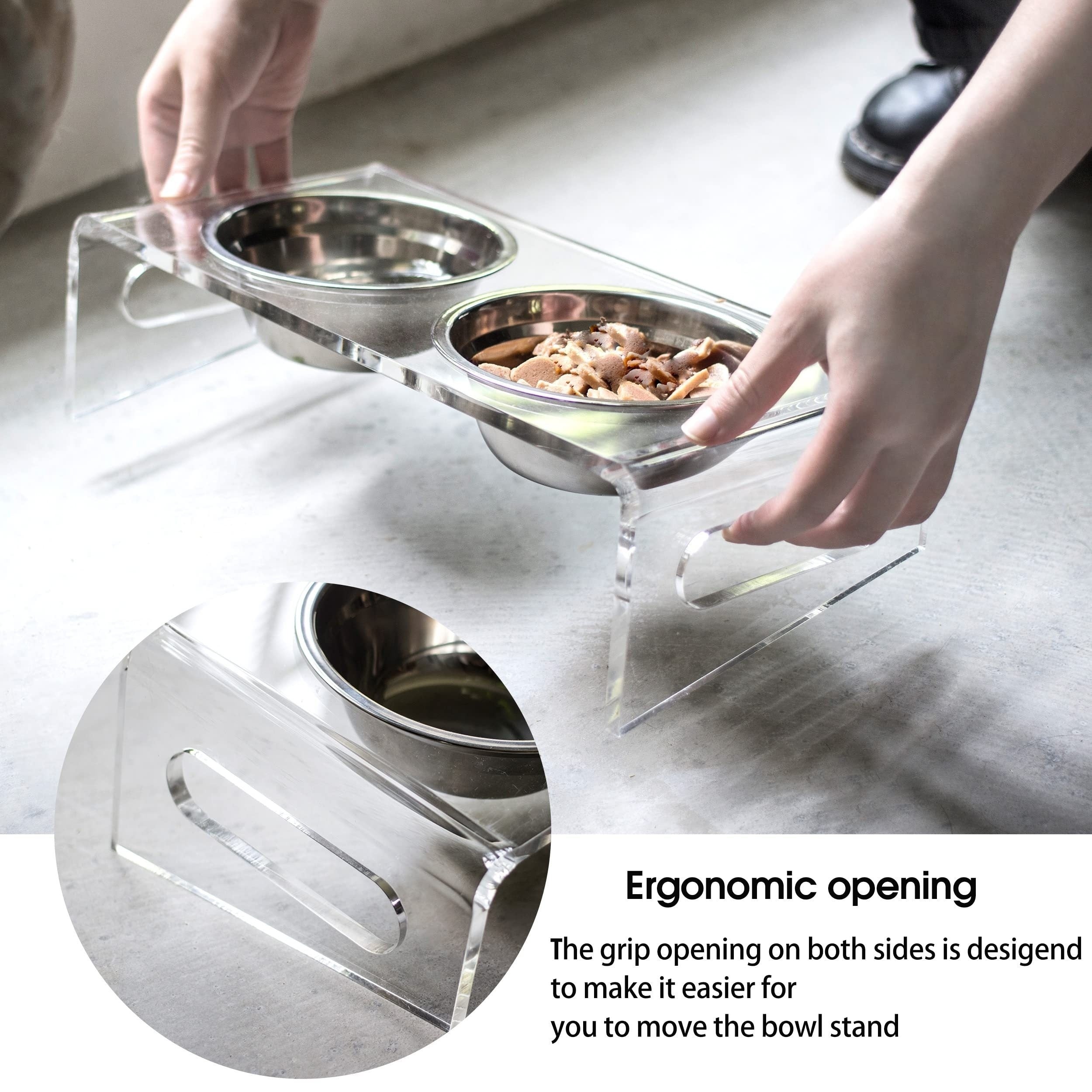 Acrylic Tilted Raised Cat Bowls