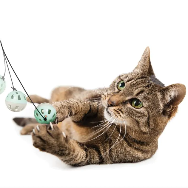 pop up mouse Bounce cat toy