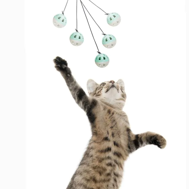 pop up mouse Bounce cat toy