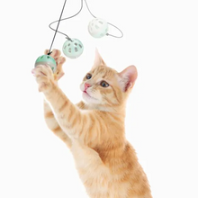 pop up mouse Bounce cat toy