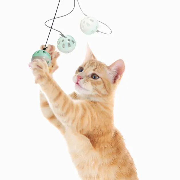 pop up mouse Bounce cat toy